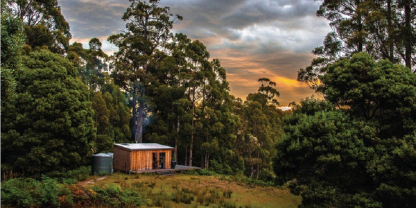 Discover Tasmania tweet media