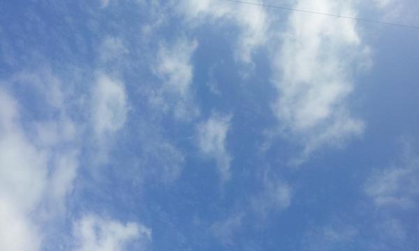 edi1003 tweet picture