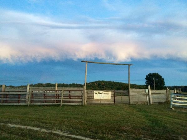 Beautiful fall weather means practice outside! 🐴☁️