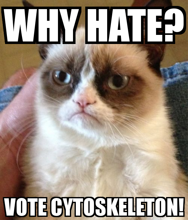 Cytoskeleton72's tweet photo. Support cytoskeleton and we will support you #cytoskeleton2k14 #murphpak http://t.co/MEwBhEAgen