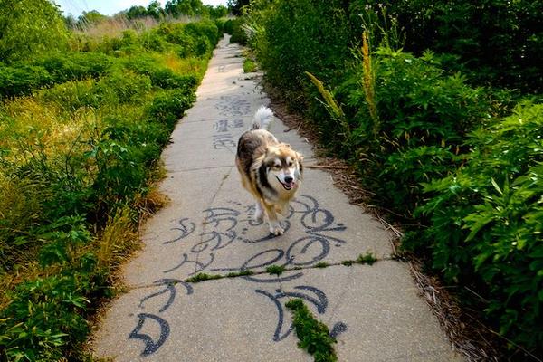 NolaVape's tweet photo. @NolaVape Donates to Support the @LASPCA 
We love #Animals here at #nolavape.
#vapelife #vaping #vapenola #vapers http://t.co/76MrnUVpAI