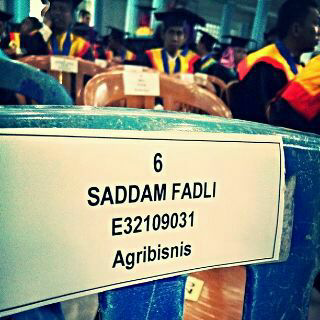 PaluBagus.Com tweet media