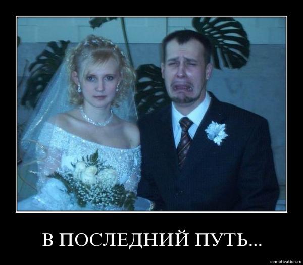 goedehal tweet picture