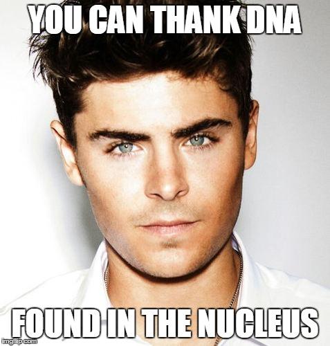 yaboinucleus's tweet photo. #murphpak #nucleusforpresident http://t.co/C05pt51bav