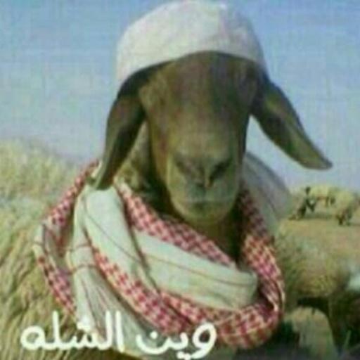 mxag_511 tweet picture