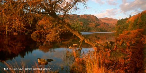 VisitScotland tweet media
