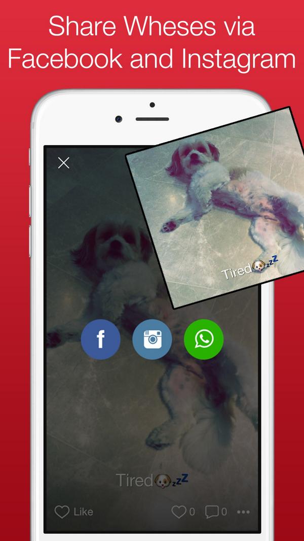 Share your Wheses via Facebook, Instagram and Whatsapp - Available on Friday!