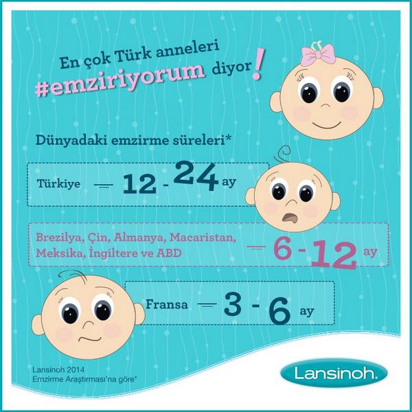 Gömülü resim için kalıcı bağlantı