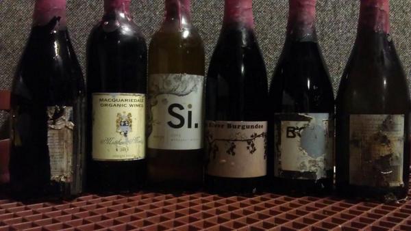 daniel.j.honan (@honandaniell) on Twitter photo The Sunken Six. <a href="/pyramidvalleynz/">Pyramid Valley Wines</a> <a href="/Macquariedale/">Macquariedale</a> <a href="/SiVintners/">Si Vintners</a> #Harkham <a href="/bobarwine/">Tom Belford, Bobar</a> <a href="/krinklewoodwine/">Krinklewood Vineyard</a> #WIYG The Sunken Six. <a href="/pyramidvalleynz/">Pyramid Valley Wines</a> <a href="/Macquariedale/">Macquariedale</a> <a href="/SiVintners/">Si Vintners</a> #Harkham <a href="/bobarwine/">Tom Belford, Bobar</a> <a href="/krinklewoodwine/">Krinklewood Vineyard</a> #WIYG