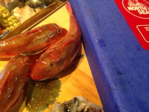 Creatief met rode poon en pijlinktvis... Will be continued #northseachefs