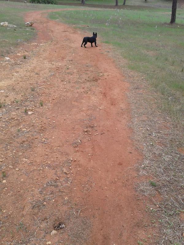 Mariabulnes91's tweet photo. Paseando cn el mas guapo... k lo kiero mas k a nada http://t.co/tLPVFTist4