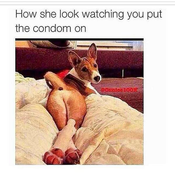 Em_Cockram's tweet image. This has killed me!!