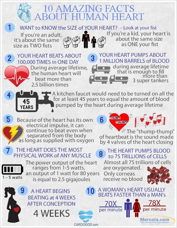 drhamdulayscare's tweet photo. 10 AMAZING FACTS ABOUT HUMAN HEART. http://t.co/McEcrPpfDO