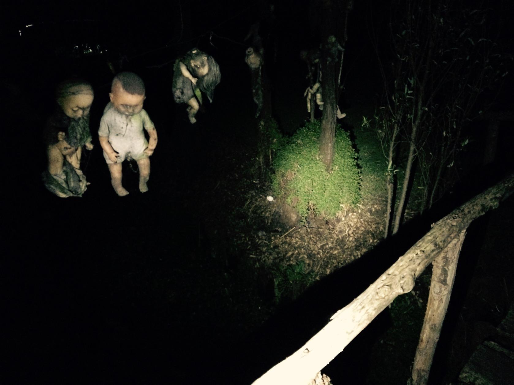 Island Of The Dolls At Night