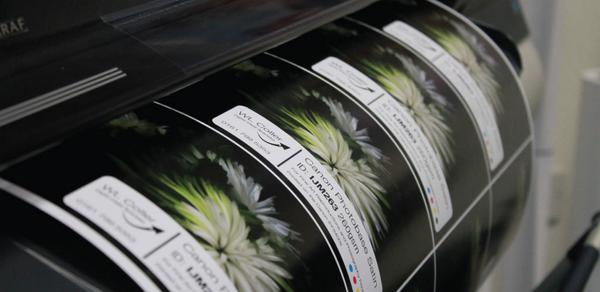 WLColler's tweet photo. Printing out our new swatch, anyone for a sample of 260gsm Canon Photo Paper? http://t.co/O60dpGjBxJ