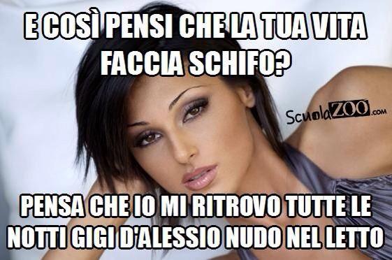 DParig's tweet image. 