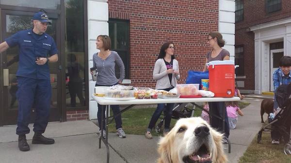 MykeCole's tweet photo. Station just posted this pic of Harry photobombing the spouse's club BBQ. #UselessDog http://t.co/26Hlg16zkJ
