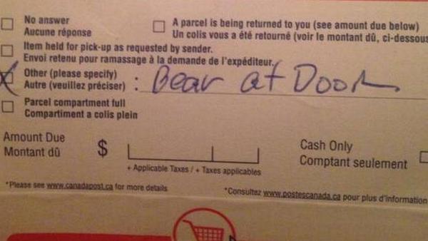 picardonhealth's tweet photo. Canadian problems: Reason for no mail delivery: "Bear at door." http://t.co/P2sbXi1l29 http://t.co/Jh2mdBnZmb via @jclarkson