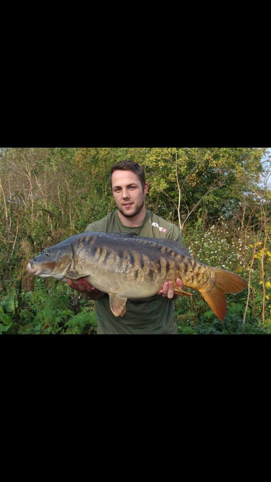 One of my Favourite fish in Farlows is really stacking weight on. at 20lb 8pz and photo 2 26lb 12oz. just 1 year!!