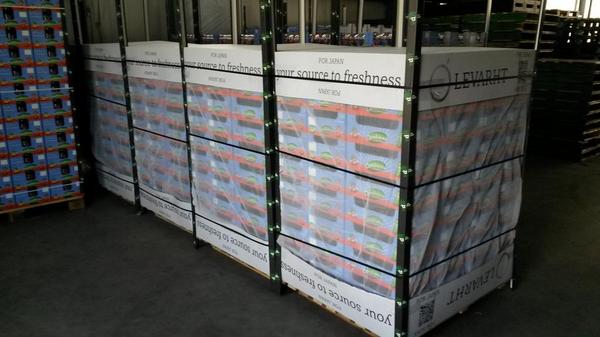 Onze tomaten zijn overal gewild! Vandaag 5 pallets #candiezz #snoeptomaten voor Japan gemaakt.