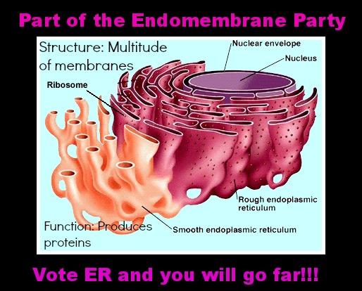 Raisetherough's tweet photo. @murphyapbio VOTE ER AND YOU WILL GO FAR!!! We make proteins that are responsible for thegrowth and repair of tissues http://t.co/ZbxMKJ1YD6