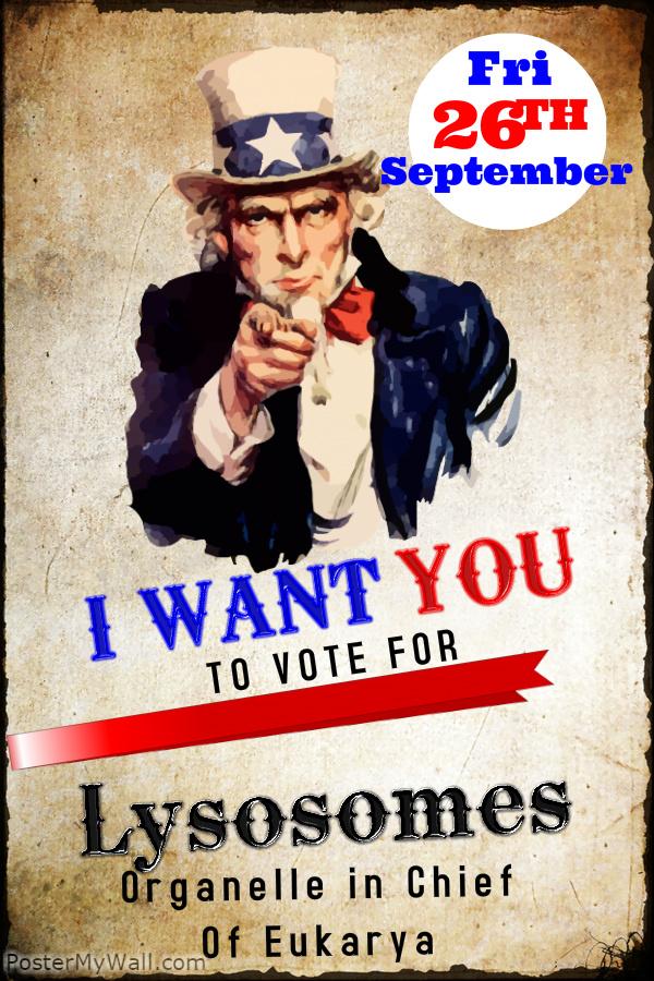 Lysoawesome's tweet photo. #Lysoawesome #murphpak http://t.co/zDCsy8WGVD