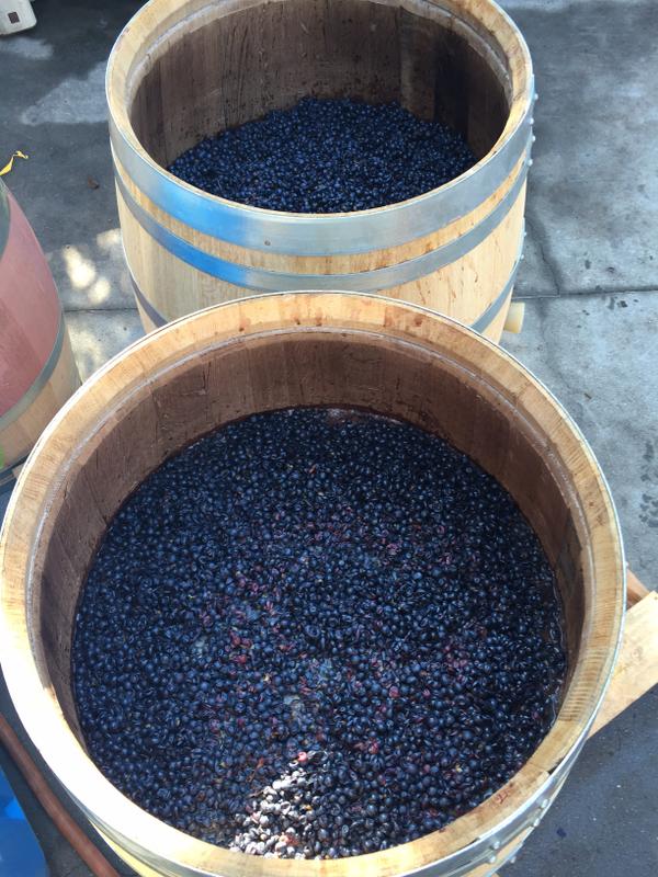 Whole-berry cabernet grapes directly in french oak barrels for fermentation, adds further complexity to Money Rd cab