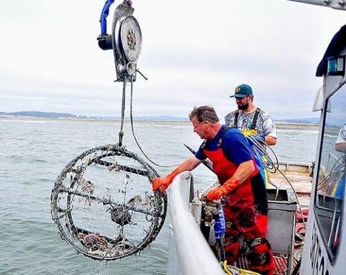 SeafoodWatch's tweet photo. #GoodNews! Fishermen clean #ocean of lost crabbing gear, http://t.co/aIMPX18m3j via @physorg_com http://t.co/nyebPKxig2