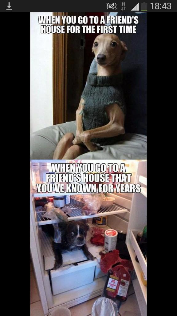 Catpeex's tweet photo. This is all the gals in my house #juicejug http://t.co/5wXVwcH3Sq