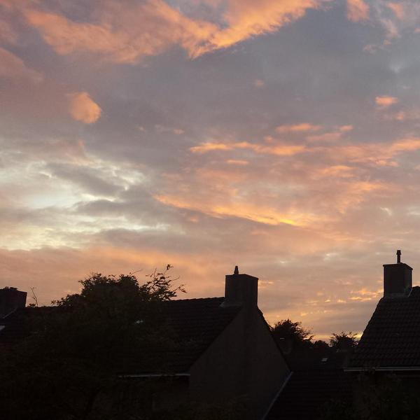 Bron: Anke Blankers ♥