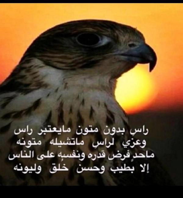 asad01001's tweet photo. http://t.co/n5WWDpymGl