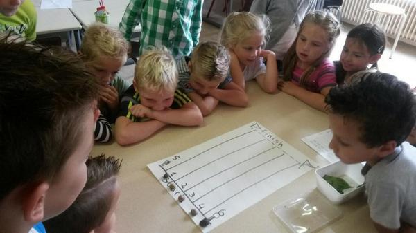 WSKOPiusX's tweet photo. Slakkenrace in groep 3. De aanmoedigingen waren tot centrum Wateringen te horen. http://t.co/vqUJhvOv2A
