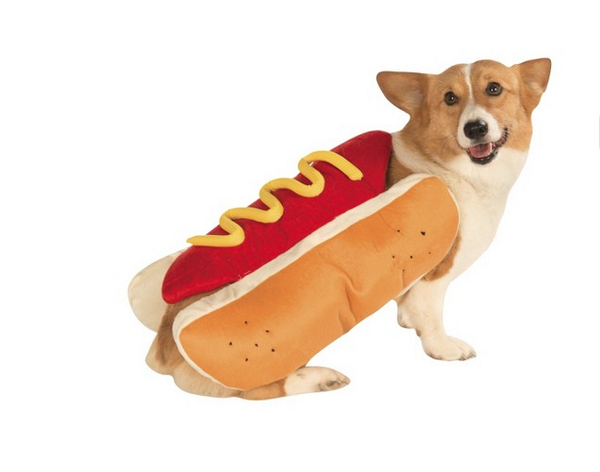 Target's tweet image. Hot dog! Here are a few pet-approved #Halloween costumes that we totally relish: tgt.biz/z3gj