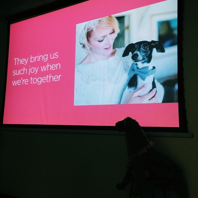 Embedded image permalink