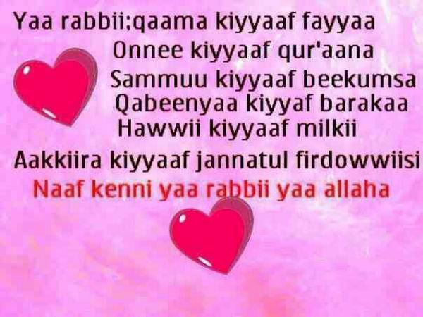 aishaoromo2's tweet photo. oromoofayyaadbNagaayqad http://t.co/5FKZ4bWLkQ