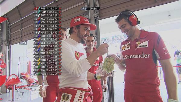 fernando alonso twitter