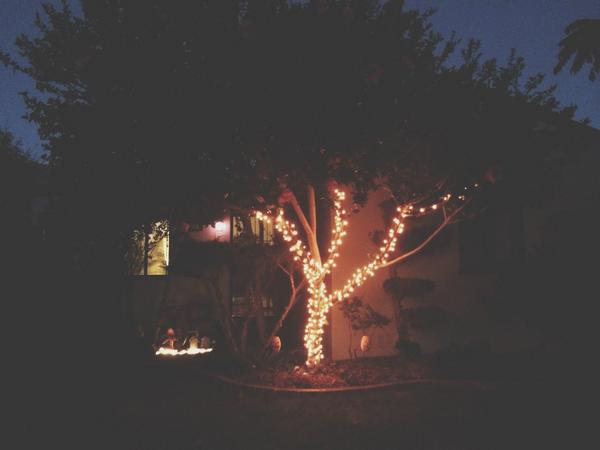 katieirene_'s tweet photo. I definitely need to add some more but this will do for now. #thatwilldodonkey #tobecontinued http://t.co/umZ84QMamJ