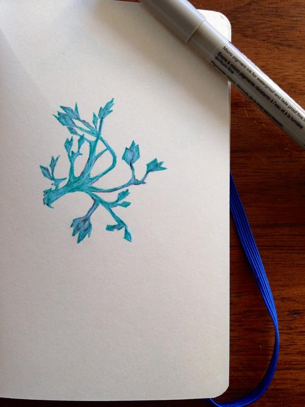 Embedded image permalink