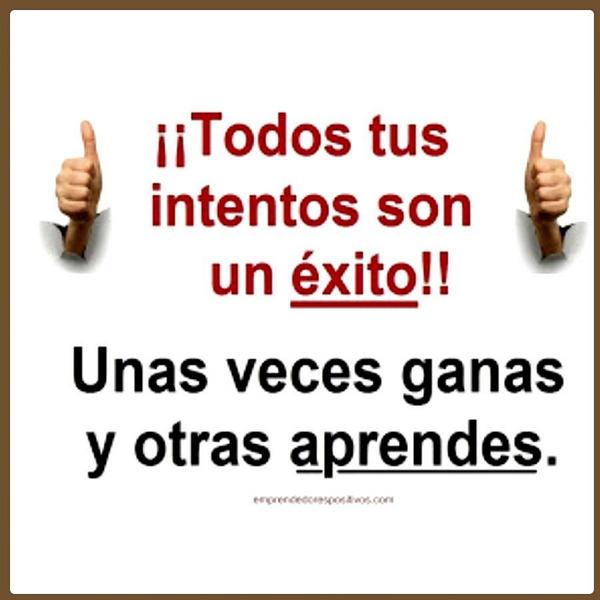 EstandoEnForma's tweet image. Cada intento es un éxito. #Fitness #Salud #Intentos #Nutrición #Alimentación #Entrenamiento #Éxito