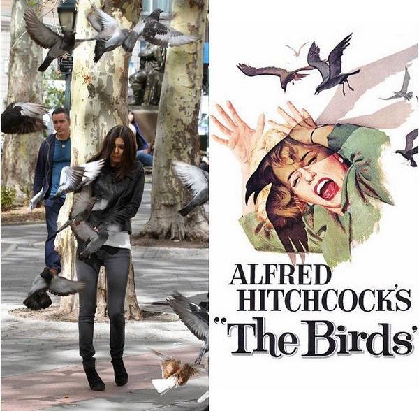 gavioliz's tweet photo. i fucking HATE birds 🐦🙅💀 #attackofthepigeons #fuckthatnoise http://t.co/RL65IPj2RO