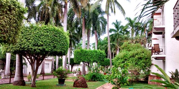krystal_kivc's tweet photo. ¡Buen día! Les compartimos más áreas #KIVC de nuestro #resort en #PuertoVallarta, #PVR #MEX http://t.co/ws7T68p3wp