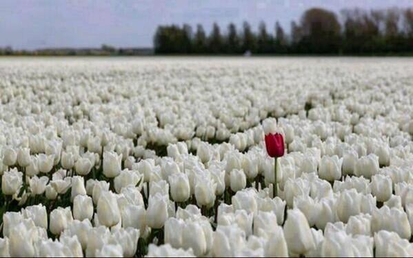 Joderquevida's tweet photo. Ser diferente no es malo. http://t.co/Sim0wOqfT0
