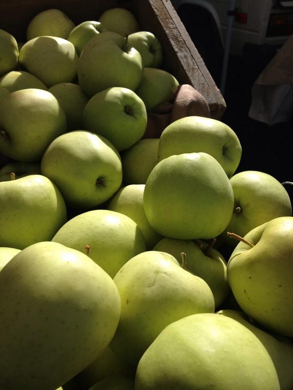 BellevueFarmMkt's tweet photo. Just picked #GoldenDelicious today @martinfamorch . http://t.co/8PlpQYrpuT