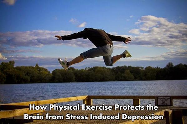 NeuroscienceNew's tweet photo. How Physical Exercise Protects the Brain from Stress Induced Depression http://t.co/mK9KRqT5lc http://t.co/OIlmuw23ru