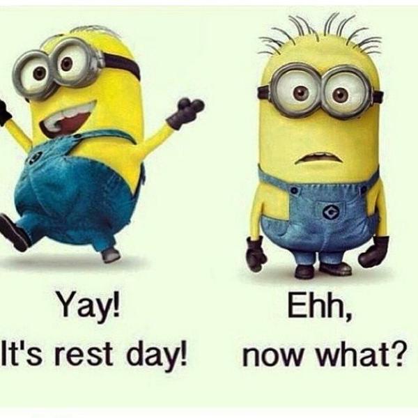 Fitness Motivation tweet media