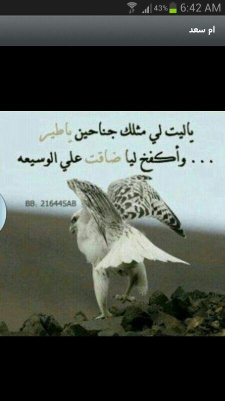 _Um_Saad_'s tweet photo. http://t.co/jQK0Njg9ni