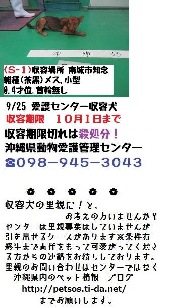 doubutukyushutu tweet picture