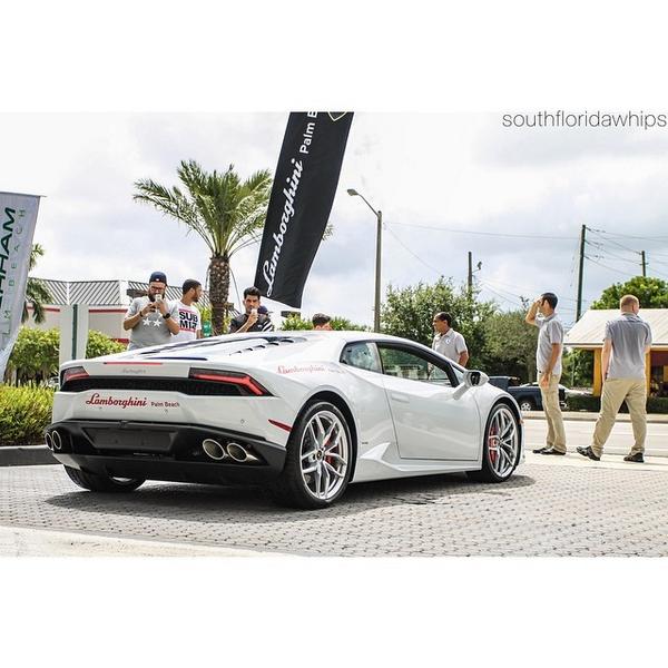 districtspeed's tweet photo. Attention Getter #southfloridawhips by southfloridawhips http://t.co/QUTlAENVNQ