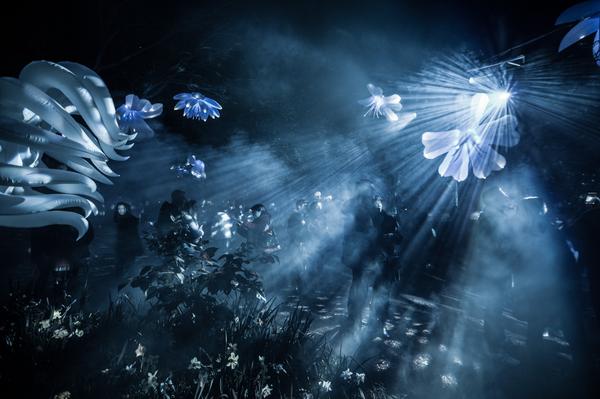 CumminsPhoto's tweet photo. And through the mist the tentacled creatures appeared...
#floriade #nightfest #canberra @floriadeaust @visitcanberra http://t.co/XLTOsYF9Ar