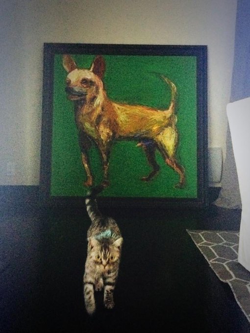 I feel so grown up! Bought my first art piece. Support artist! Don't buy Bed Bath and Beyond art. http://t<a href="/tag/wcw"class="tags"><span>#wcw</span></a>